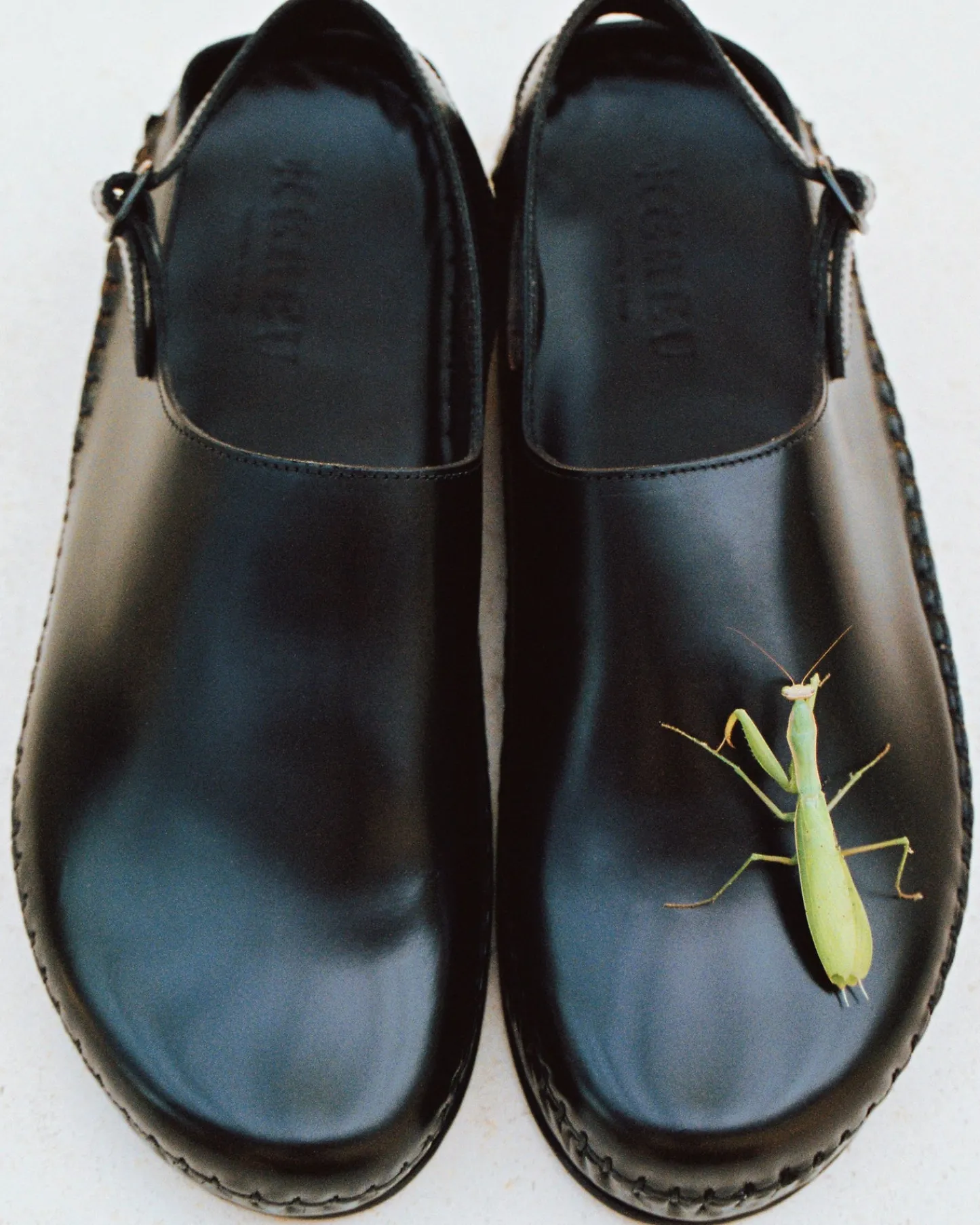 Hereu Studio Cargol> Sandals